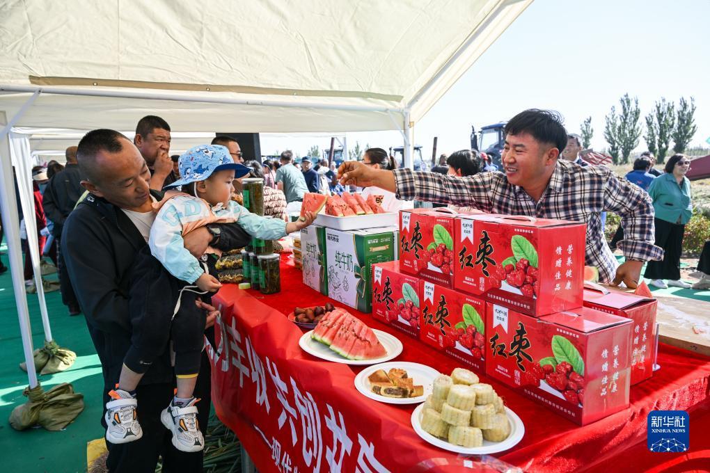 九州官网网站是多少